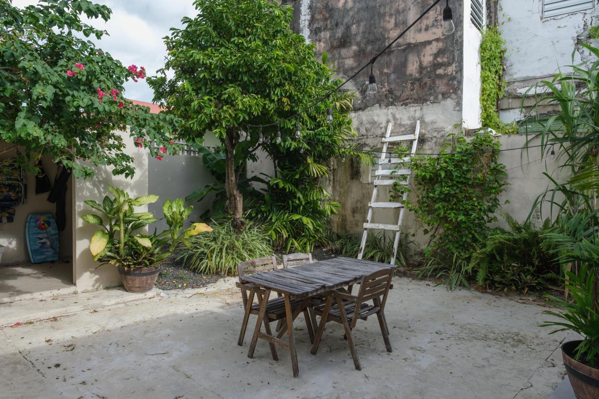 Dream Beach House By Sonsolea Host Luquillo Dış mekan fotoğraf