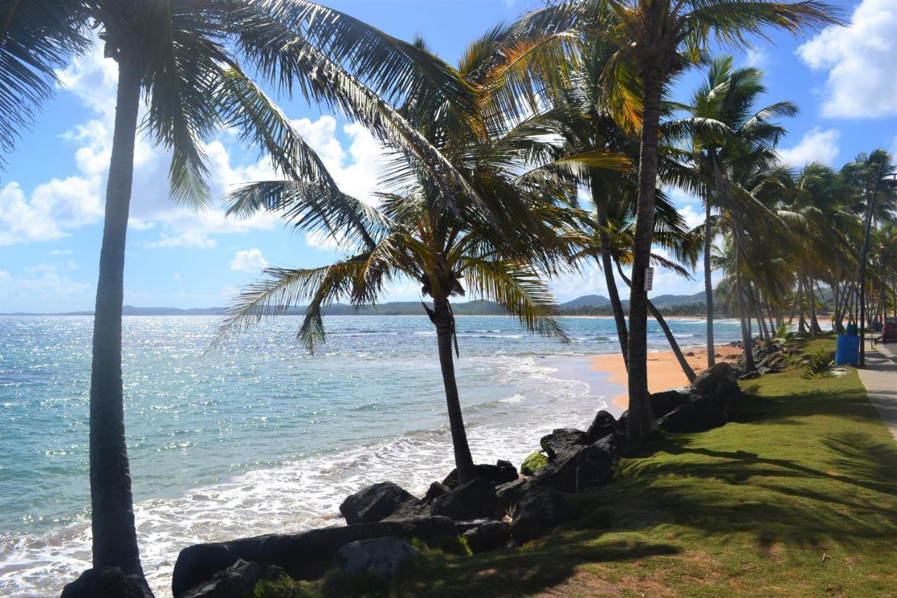 Dream Beach House By Sonsolea Host Luquillo Dış mekan fotoğraf